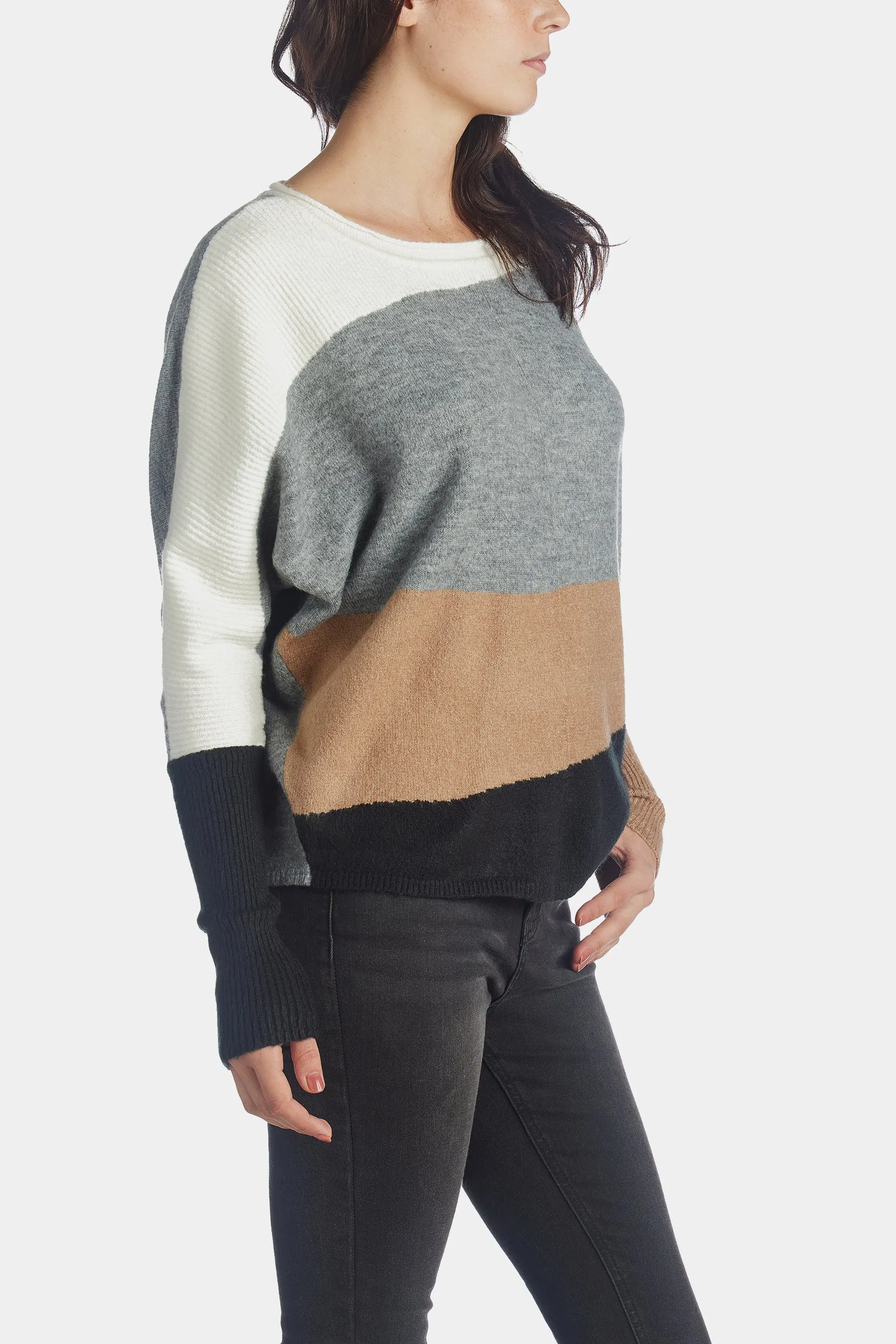 Color Block Crew Neck Sweater